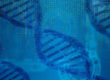 adn