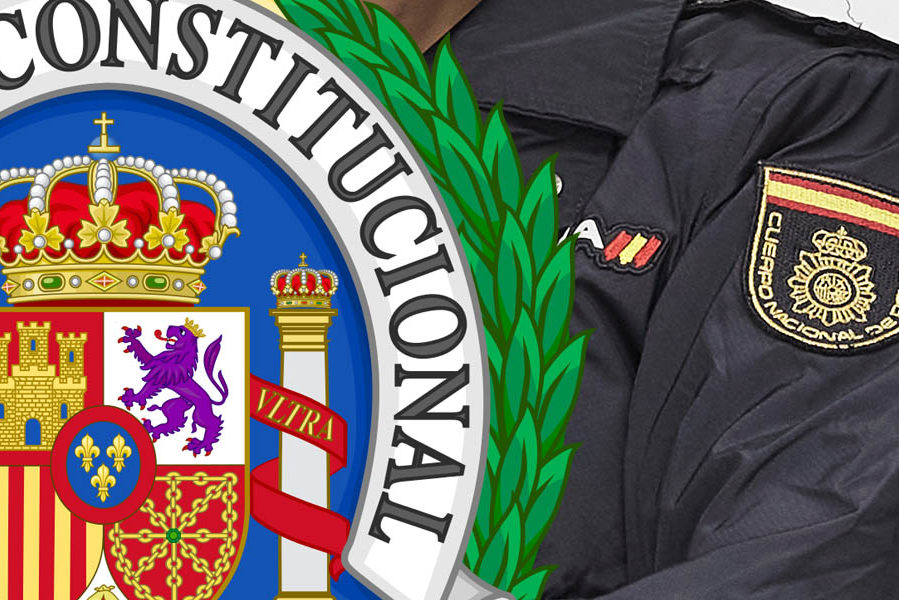 Medalla al mérito constitucional